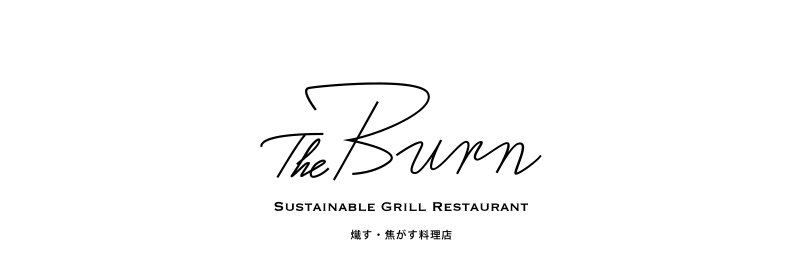 logo_theburn